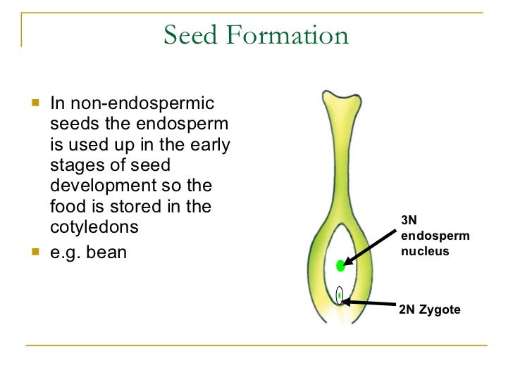 We are hairy milf Sexual reproduction in plants definition